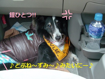 0206kaeri2.jpg