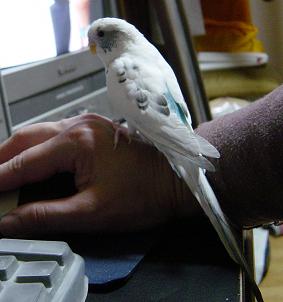 Ȃ