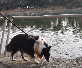 1127izu7.jpg
