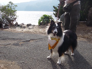 1127izu8.jpg