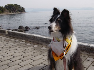 1127izu9.jpg