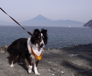 1127mihama2.jpg
