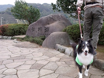 1128izu3.jpg