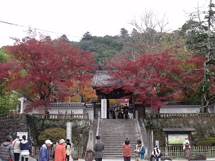 1128izu4.jpg