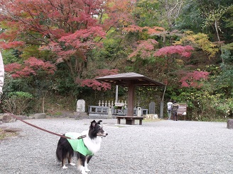 1128izu7.jpg