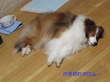 0413iki.jpg