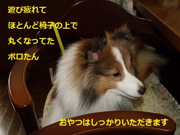 0510niwa9.jpg