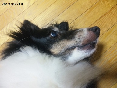 0718kyoc.jpg