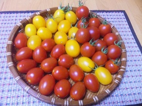 0725tomato.jpg