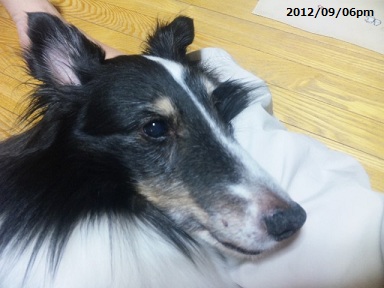 0906kyocpm.jpg