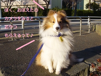 130129p3.jpg