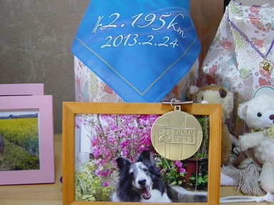 130224c1.jpg