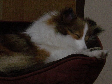 130228p1.jpg