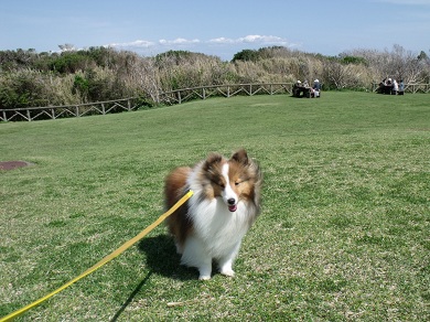 130404jp10.JPG