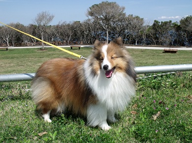 130404jp2.JPG