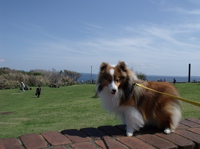130404jp3.JPG