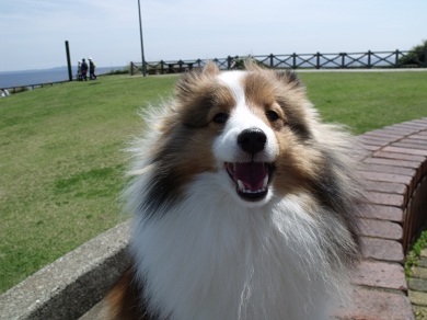 130404jp4.JPG
