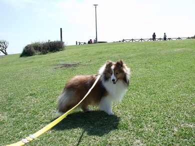 130404jp9.JPG