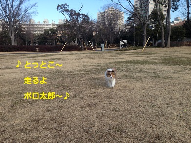140124p5.jpg