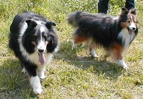 2005rc.jpg