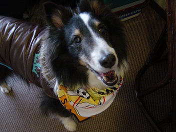 2012_02060002.jpg