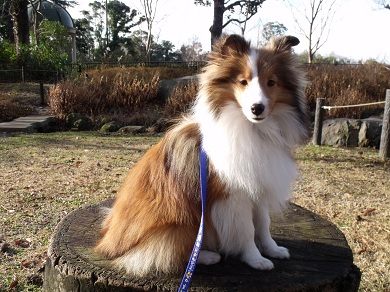 20130101p1.jpg