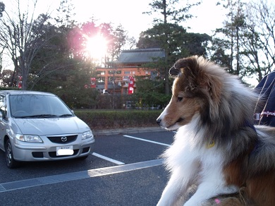 20130101p3.jpg