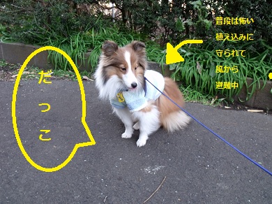 20130102p2.jpg