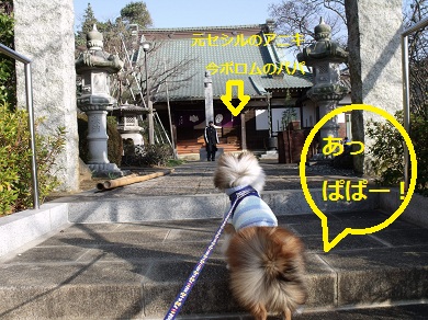20130102p4.jpg