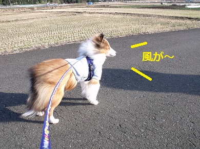 20130102p7.jpg