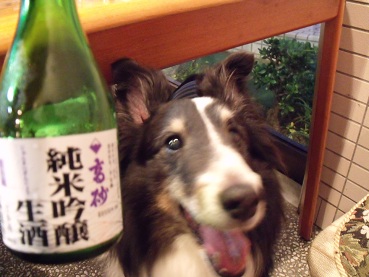 4oisi8sake.jpg