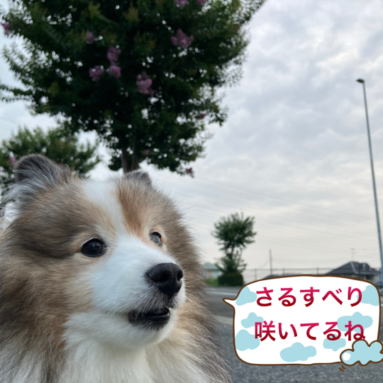 IMG_0003.jpeg