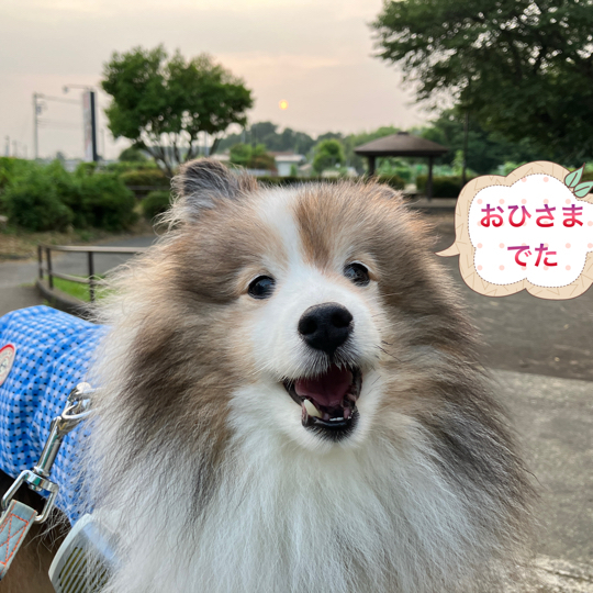IMG_0006.jpeg