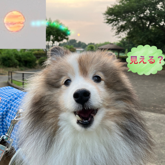 IMG_0007.jpeg