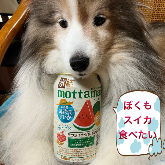 IMG_0011.jpeg