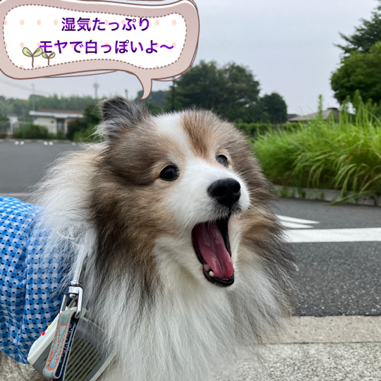 IMG_0049.jpeg