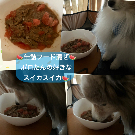 IMG_0050.jpeg