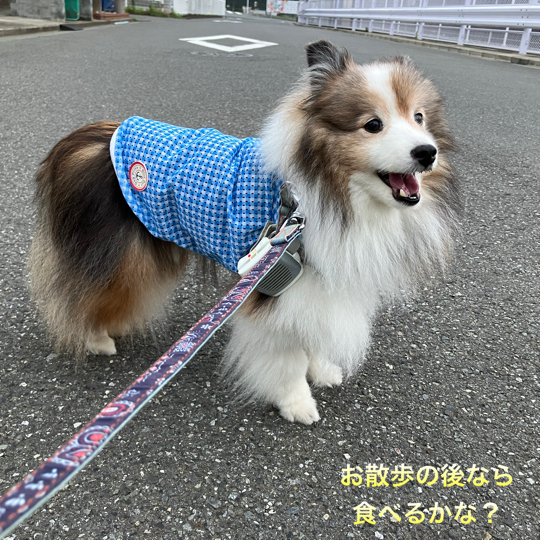 IMG_0051.jpeg
