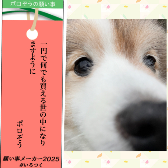 IMG_0053.jpeg