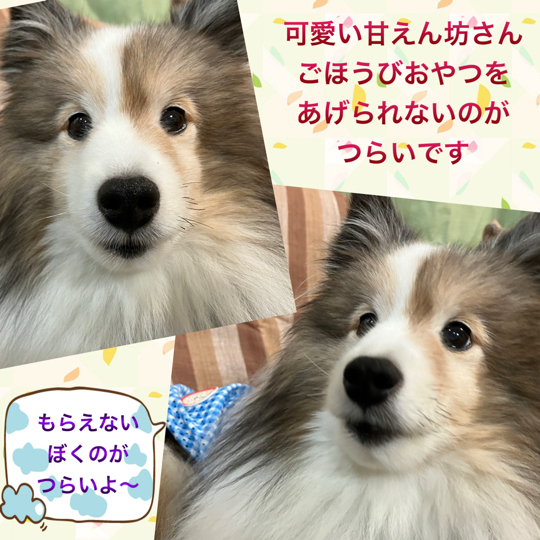 IMG_0080.jpeg