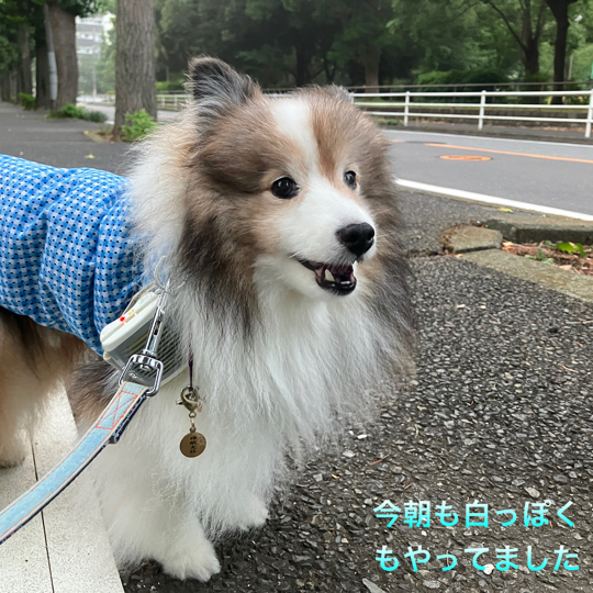 IMG_0081.jpeg
