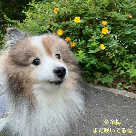 IMG_0105.jpeg