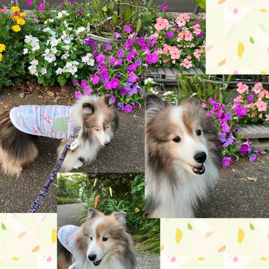 IMG_0109.jpeg