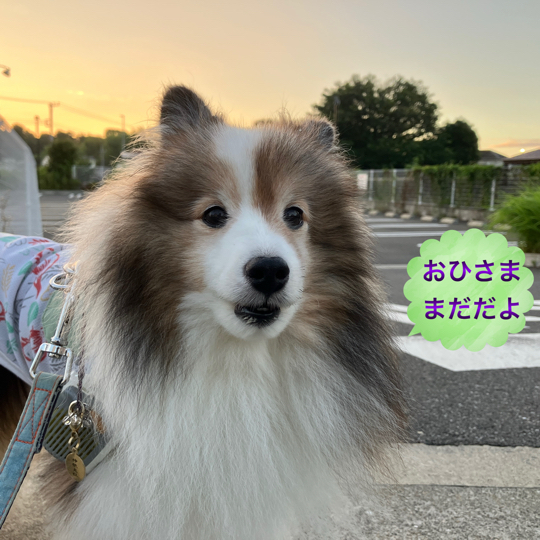 IMG_0141.jpeg