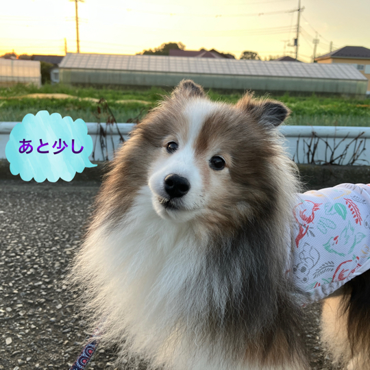 IMG_0142.jpeg