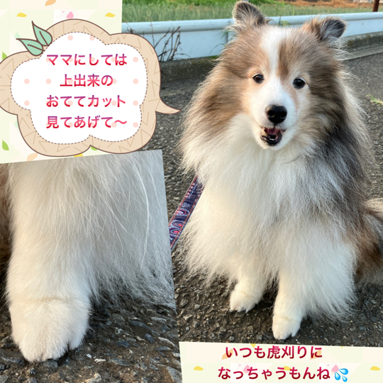 IMG_0143.jpeg