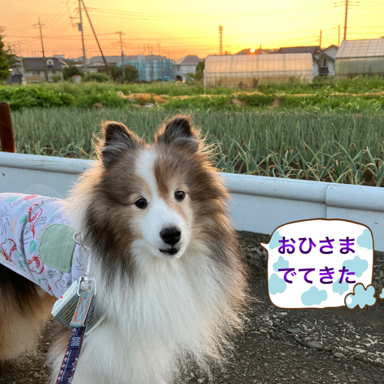 IMG_0144.jpeg