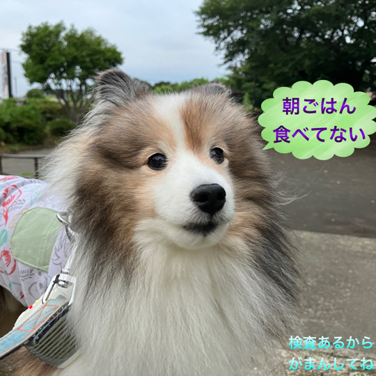 IMG_0173.jpeg