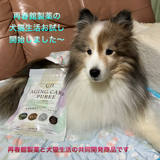 IMG_0174.jpeg