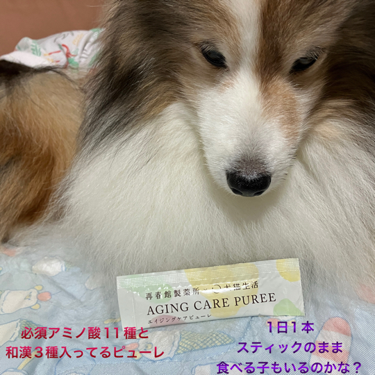 IMG_0175.jpeg